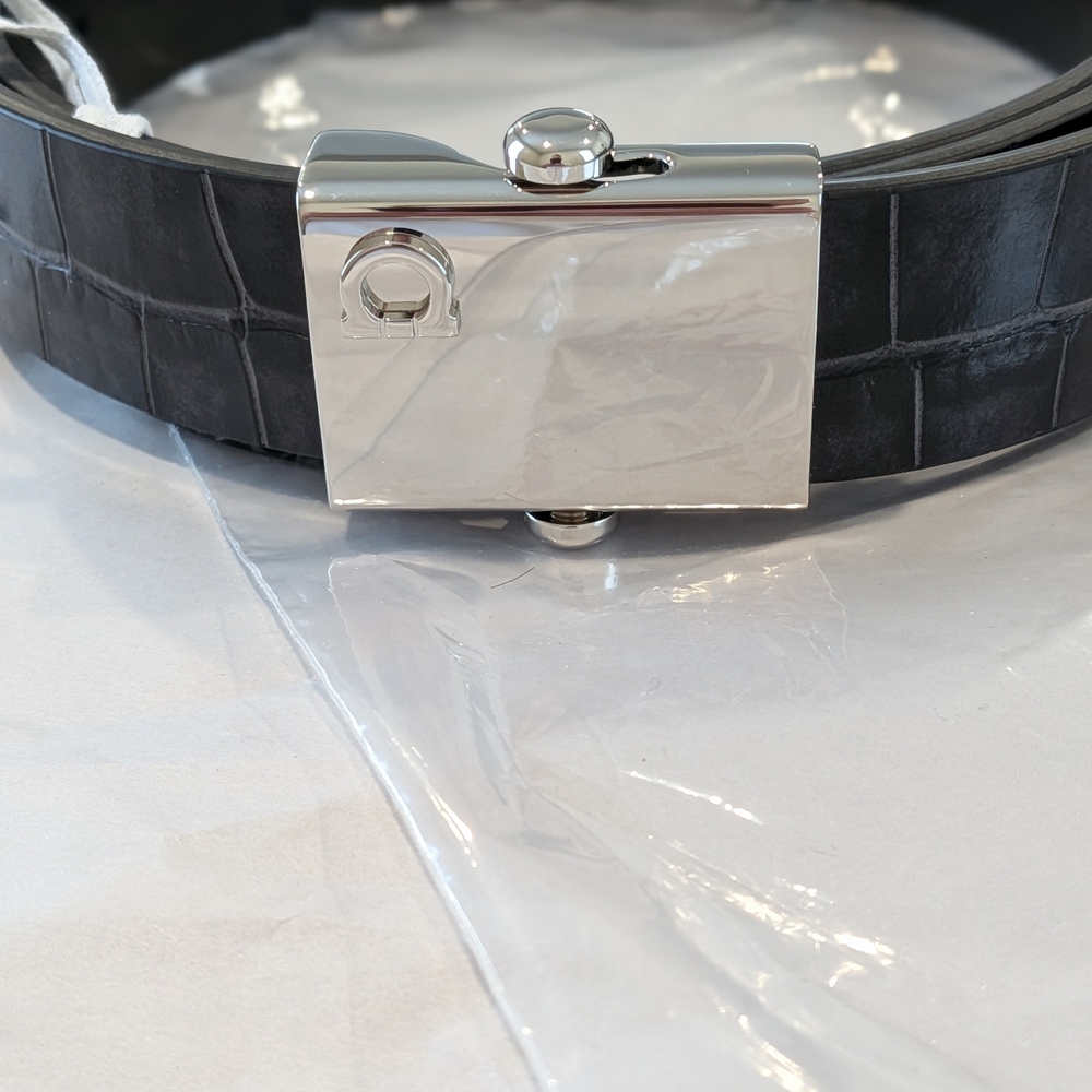 Salvatore Ferragamo Black Belt with Silver Buckle